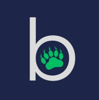 Bear IT Group Logo