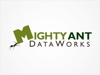 Mighty Ant Data Works Logo