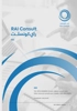 RAI Consult Logo