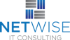 NetWise IT Consulting LLC Logo