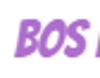 Bos Digital Dublin Logo