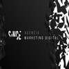 Since  Agencia Marketing Digital Logo