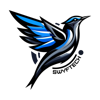 SwyfTech Logo