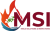 Mold Solutions & Inspections Logo