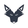 WIZEWOLF Logo