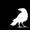 WHITE RAVEN Logo