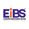 EiBS - Software Development Company Logo