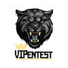 VIPentest Logo