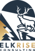 ELKRISE Consulting Logo