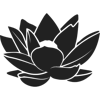 Lotus Initiative Logo