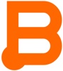Business Instincts Group Logo