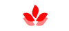 blumerise Logo