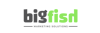 Bigfish Marketing Solutions Logo