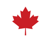 Canadian Executive Search Group Logo