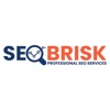 SEO BRISK Logo