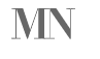 MN Capital Strategies Logo
