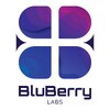 Bluberry Labs LLC Logo