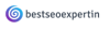 Best SEO Expert In USA Logo