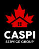 Caspi Service Group Logo