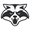 Raccoon Soft Logo