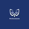 WisEngineering, LLC Logo