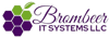 Brombeer IT systems Logo