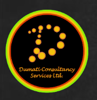 Dumati Consultancy Services Ltd. Logo