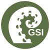 Giant Squid Inc Logo