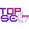 TopSEO Logo
