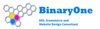Binaryone Logo