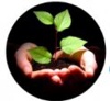 Shahlegacy Logo