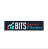 Buscemi IT Solutions Logo