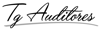 Tg Auditors Logo
