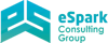 eSpark Consulting Group Logo