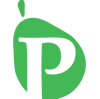 The Paro Consulting Group Logo