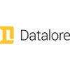 Datalore Logo