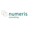Numeris Consulting Logo