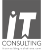 IT CONSULTING Logo