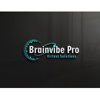 brainvibepvs Logo