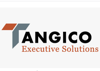 Tangico Executive Solutions Corp. Logo