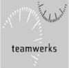TeamWerks Logo