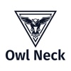 Owlneck Consulting Services Logo