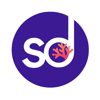 SEOdivers Logo