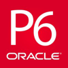 Primavera P6 & MS Project Training Logo