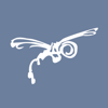 Dragonfly Video Productions Ltd Logo