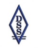 Definitive Staffing Solutions, INC Logo