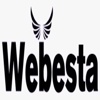 Webesta Solutions Logo