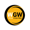 White Globe Web Logo