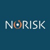 Norisk Srl Logo