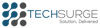 Techsurge Inc Logo